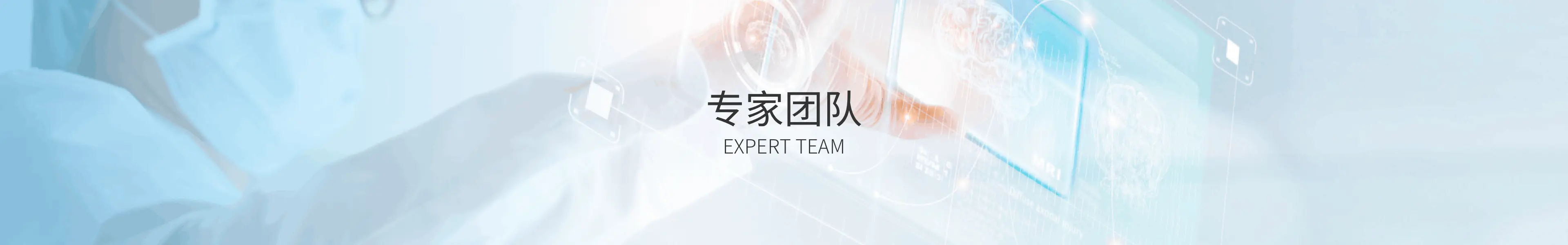 专家团队