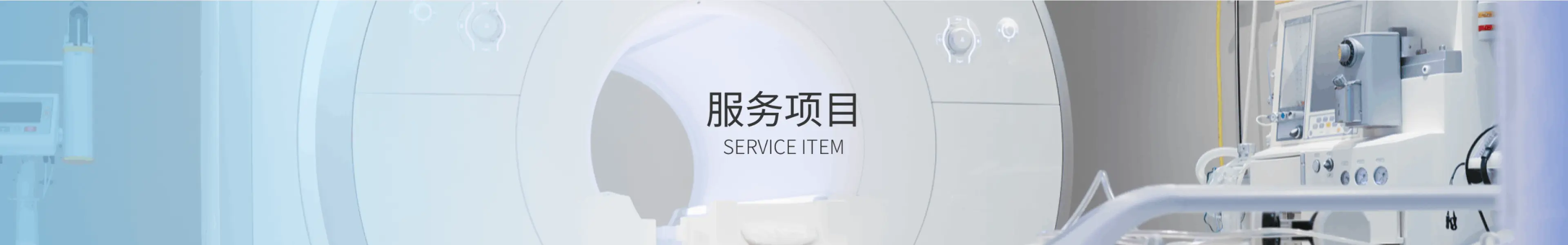 服务项目